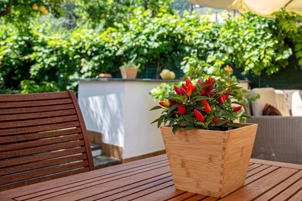 Xenia House Sorrento Hotel Luaran gambar